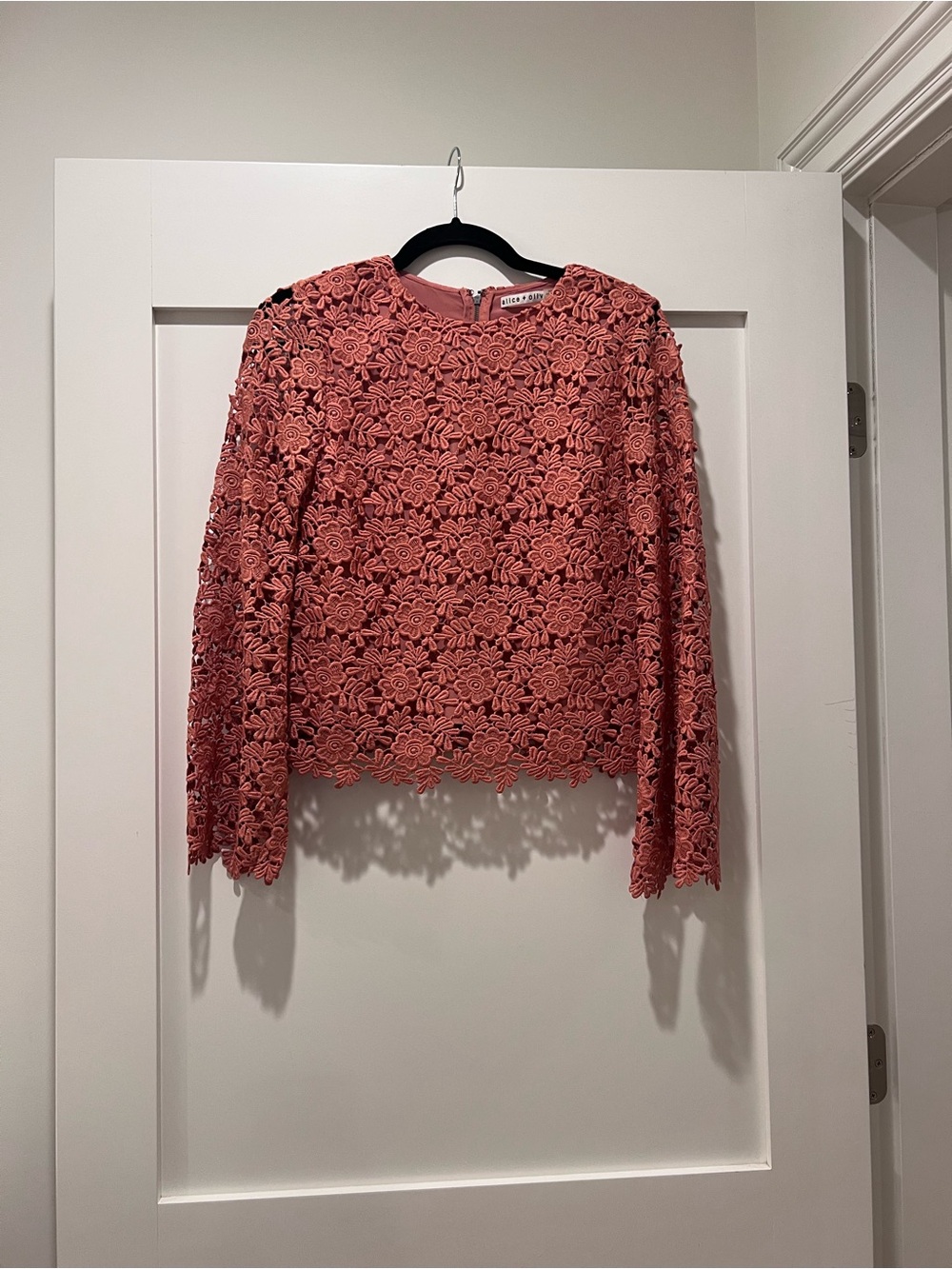 Alice and Olivia Pasha Chic Feminine Floral Embroidered Eyelet - Picture 3 of 7